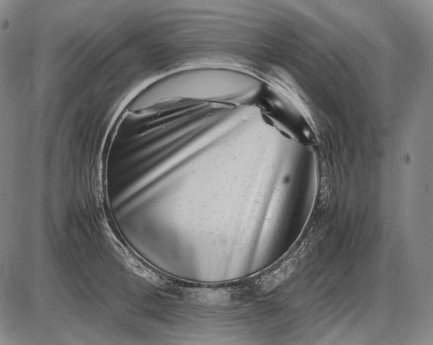 X0000085830996200703301614