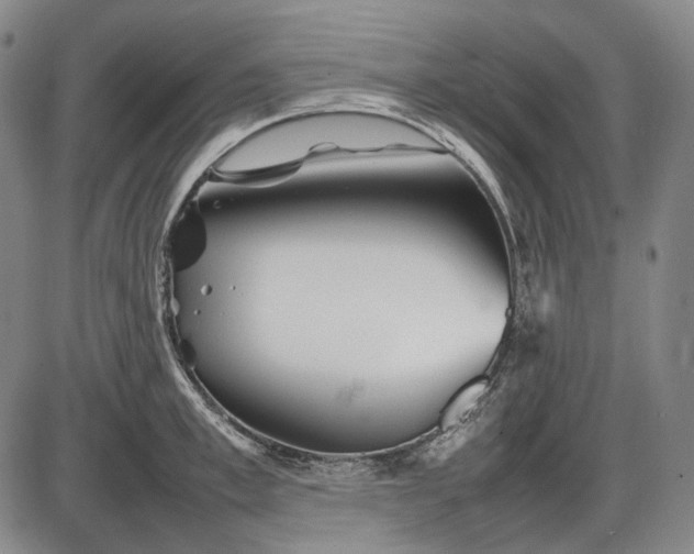 X0000085830997200703301614