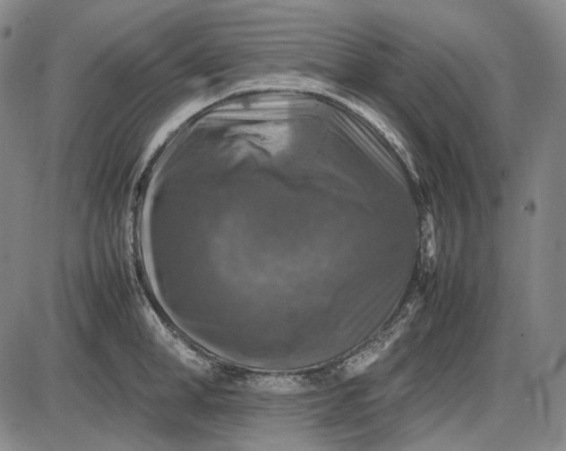 X0000085830998200703301614