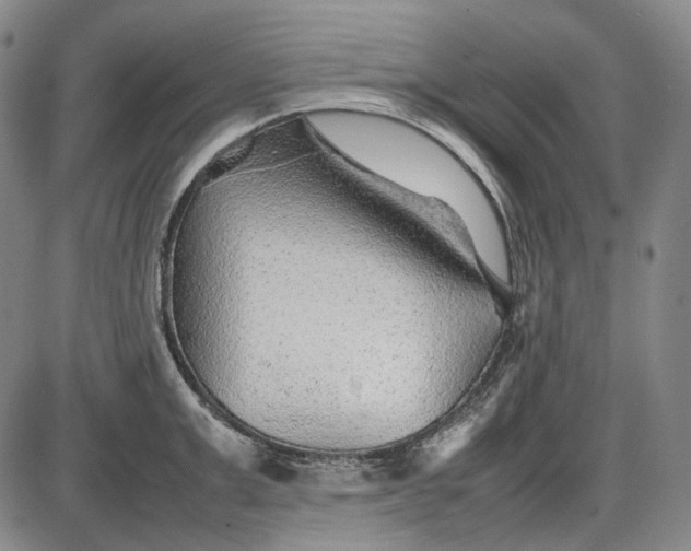 X0000085830999200703301614