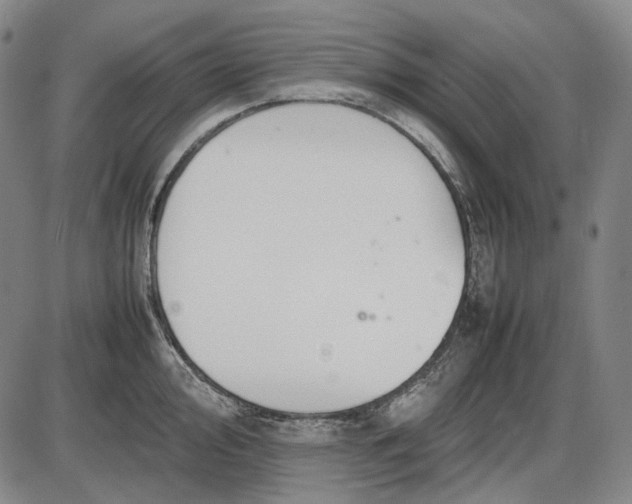 X0000085831000200703301614