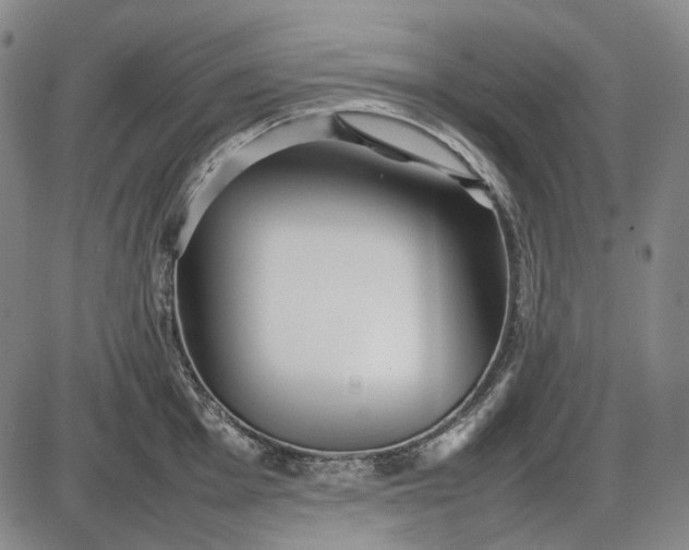 X0000085831001200703301614