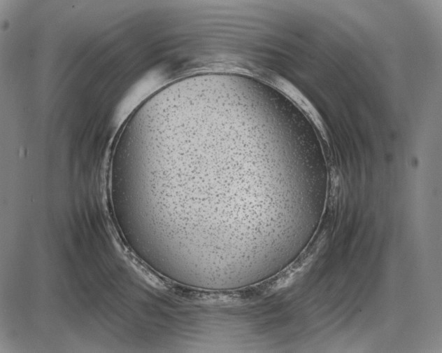 X0000085831002200703301614