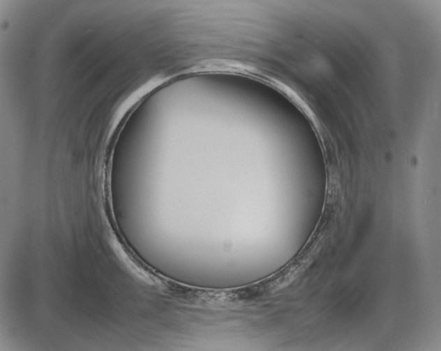 X0000085831003200703301614