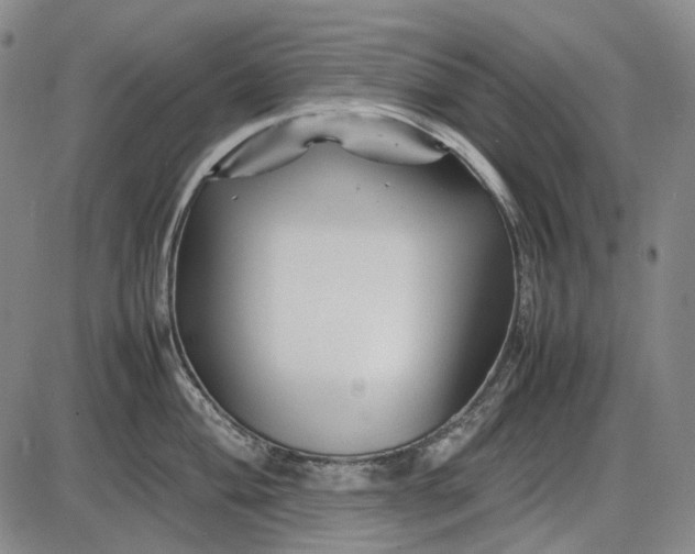 X0000085831004200703301614