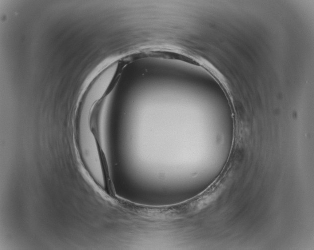 X0000085831005200703301614