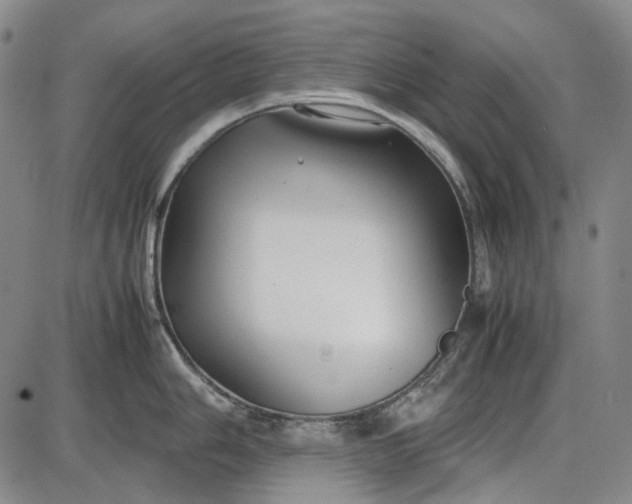 X0000085831006200703301614