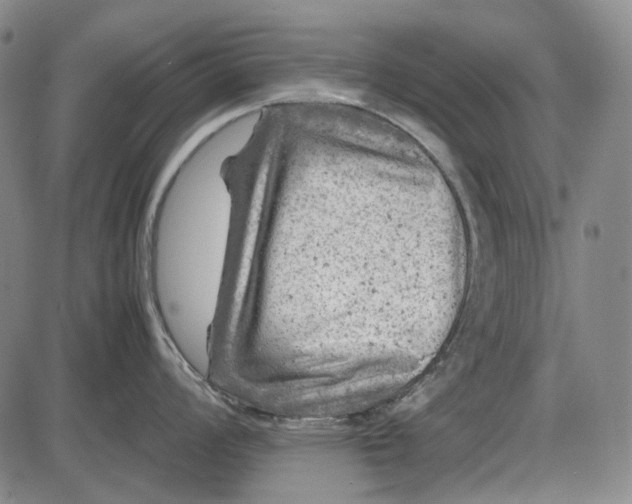 X0000085831008200703301614