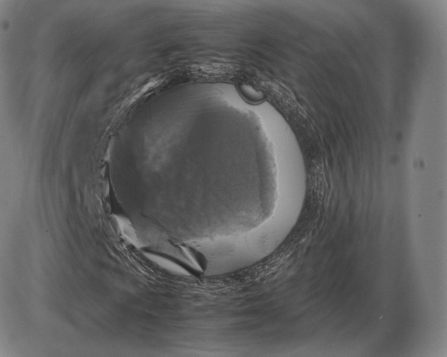 X0000085831009200703301613