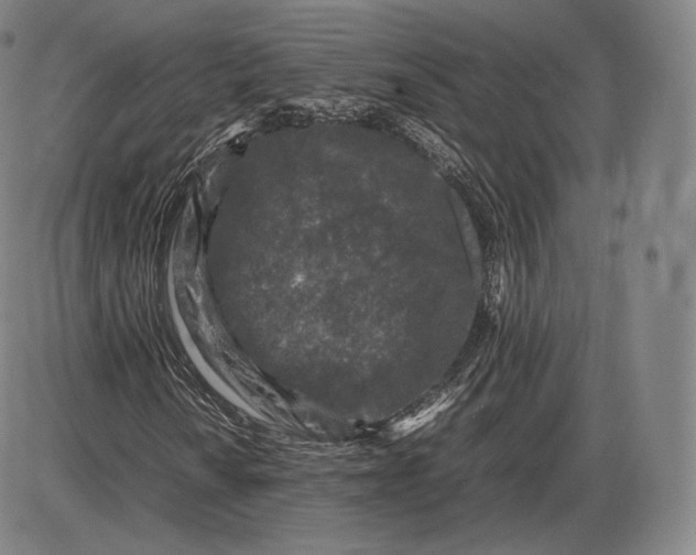 X0000085831010200703301613