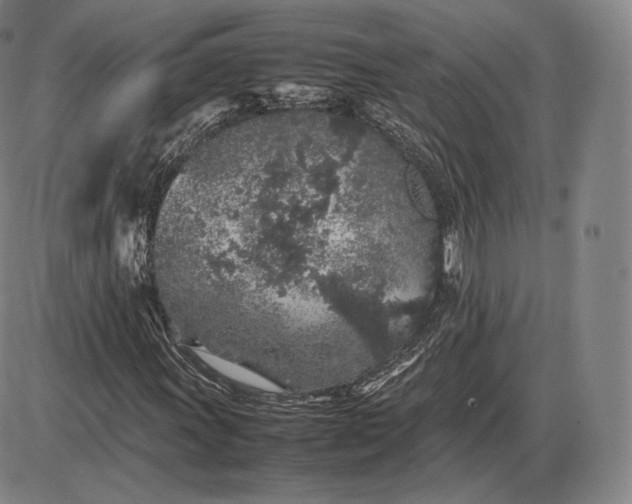 X0000085831011200703301613