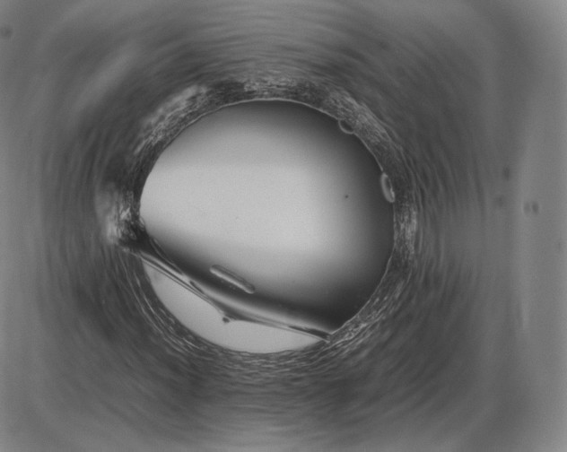 X0000085831012200703301613