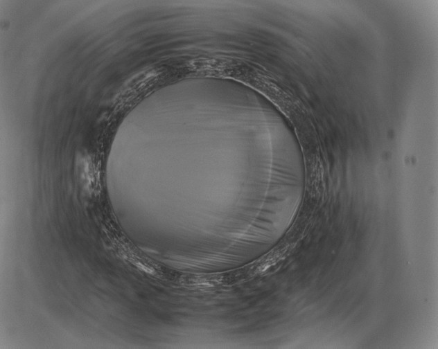 X0000085831013200703301613