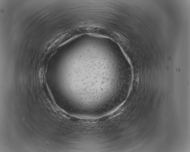 X0000085831014200703301613