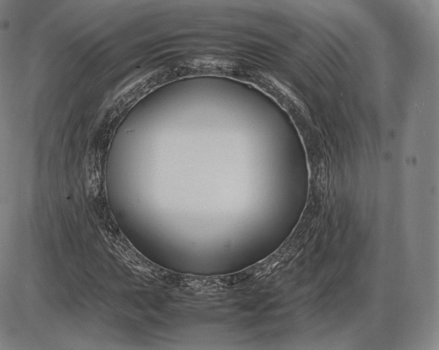 X0000085831015200703301614