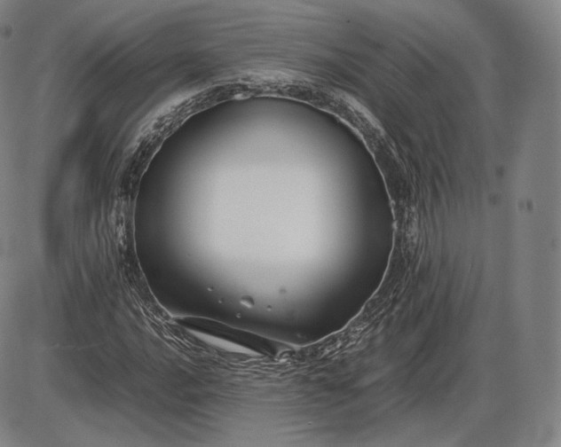 X0000085831016200703301614