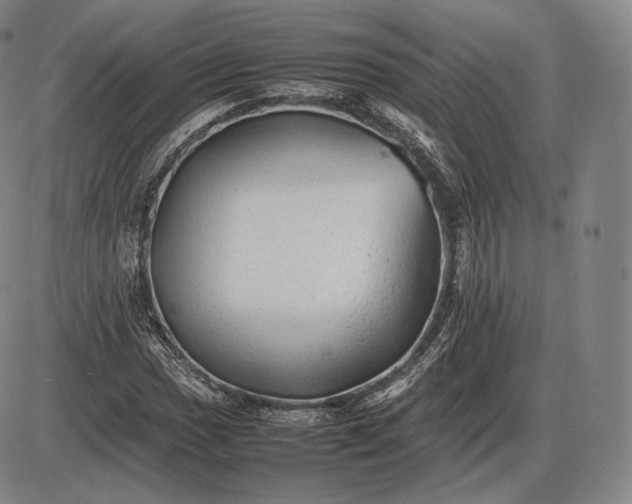 X0000085831017200703301614