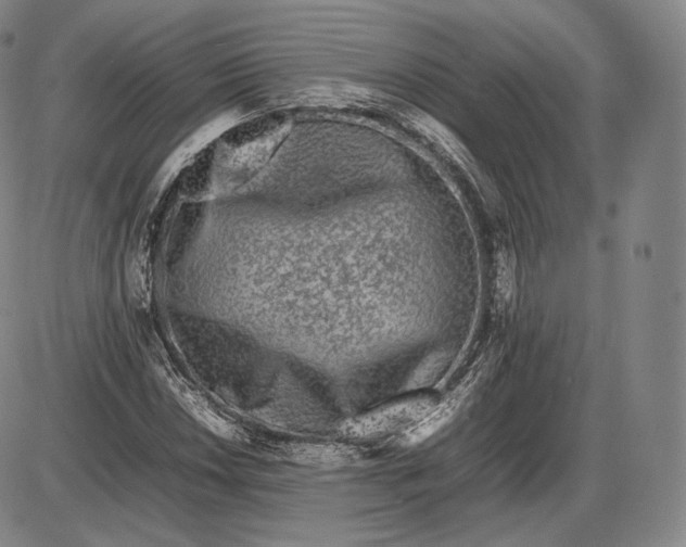 X0000085831018200703301614