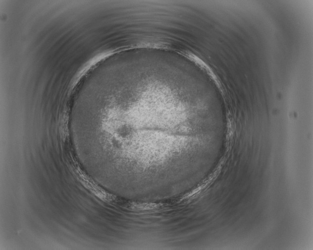 X0000085831019200703301614