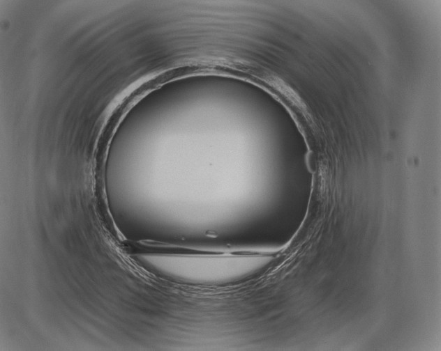 X0000085831020200703301614