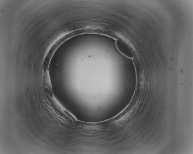 X0000085831021200703301614