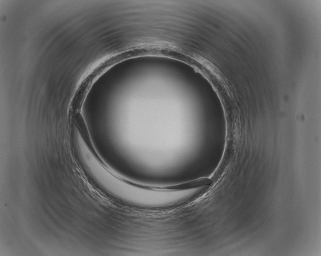 X0000085831022200703301614