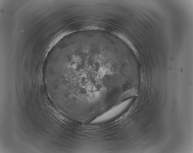 X0000085831023200703301614