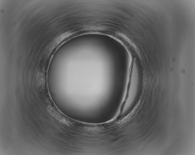 X0000085831025200703301614