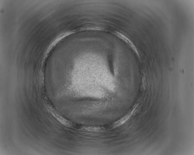 X0000085831027200703301614