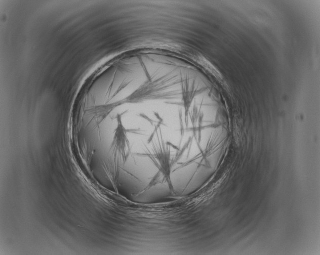 X0000085831028200703301614