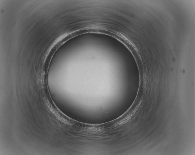 X0000085831029200703301614