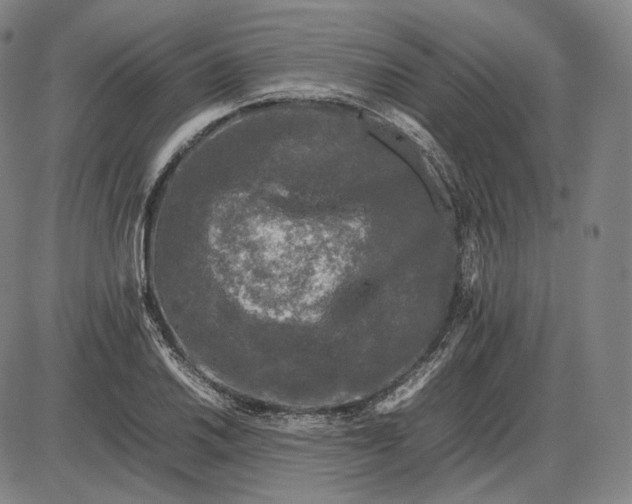 X0000085831030200703301614