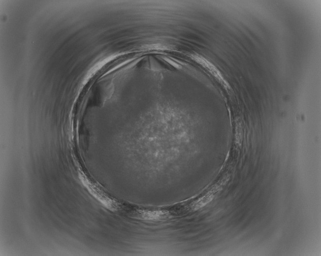 X0000085831031200703301614