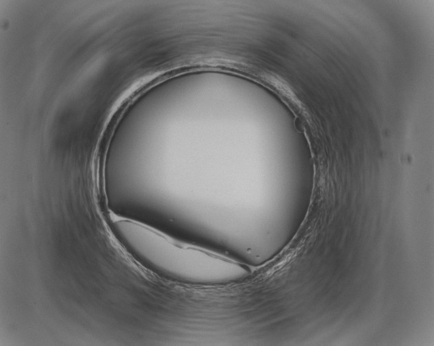 X0000085831032200703301614