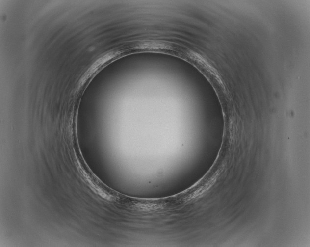 X0000085831033200703301614