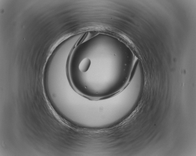 X0000085831034200703301614