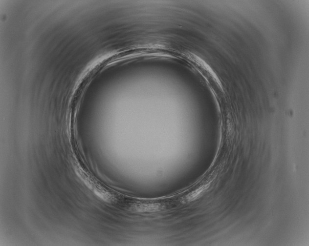 X0000085831035200703301614