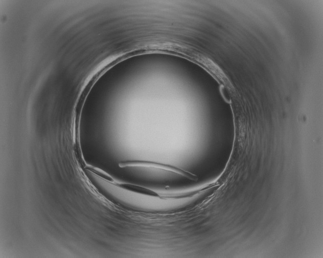 X0000085831036200703301614