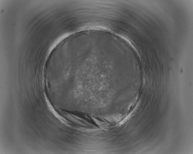 X0000085831038200703301614