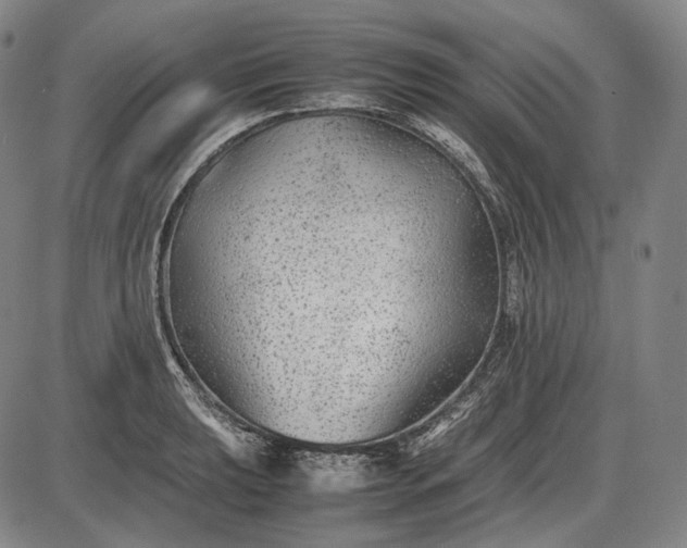 X0000085831039200703301614