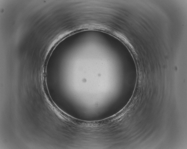 X0000085831040200703301614