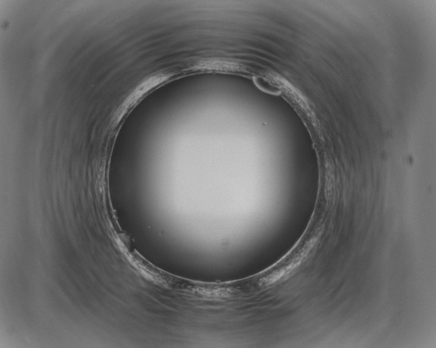 X0000085831041200703301614