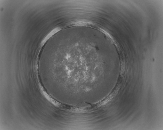 X0000085831042200703301614