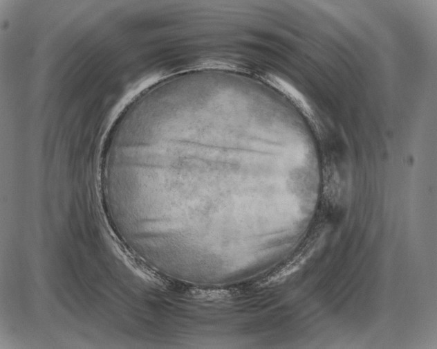 X0000085831043200703301614