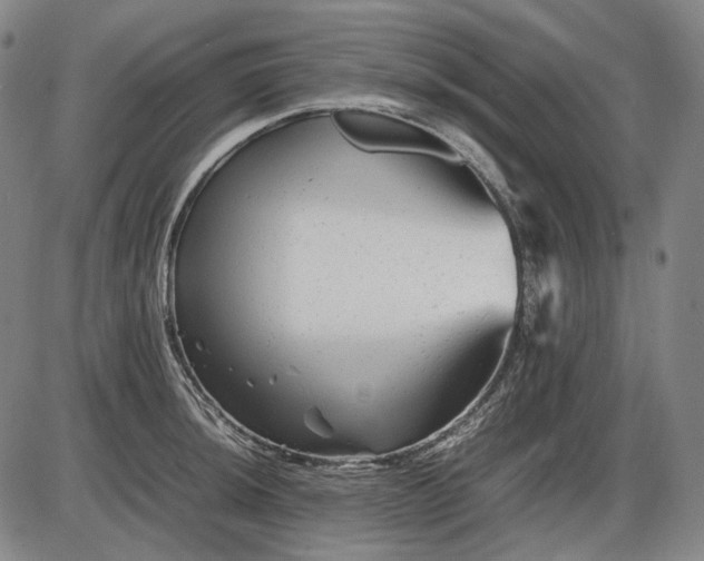 X0000085831044200703301614