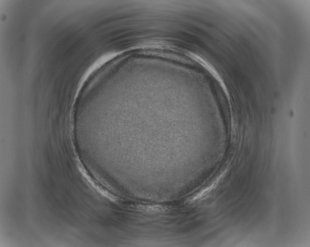 X0000085831045200703301614