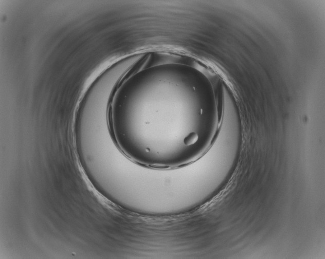 X0000085831046200703301614