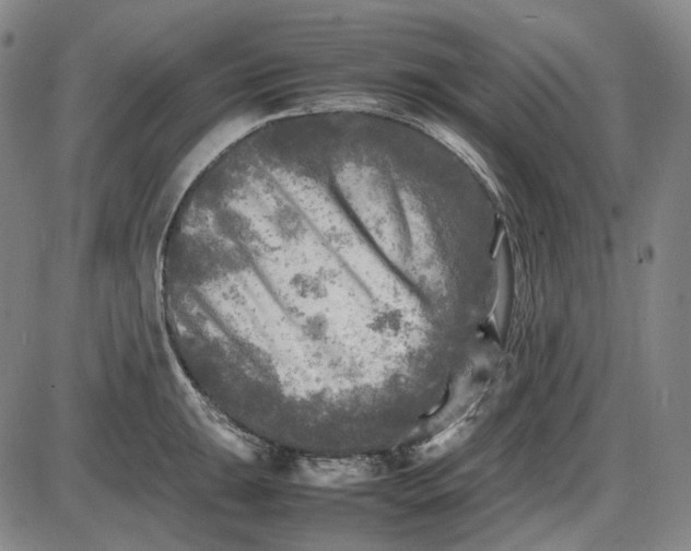 X0000085831047200703301614