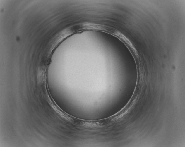 X0000085831049200703301614