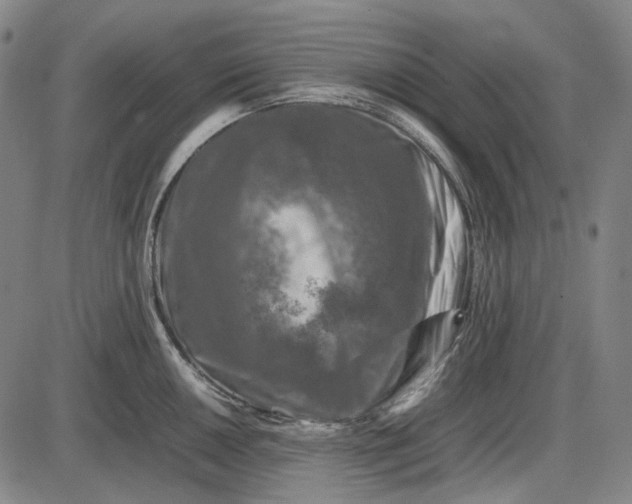 X0000085831050200703301614